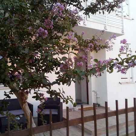 The Judas Trees Mestre Exteriör bild