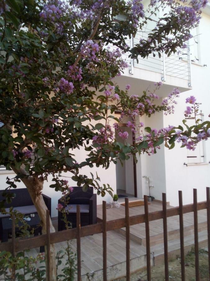 The Judas Trees Mestre Exteriör bild